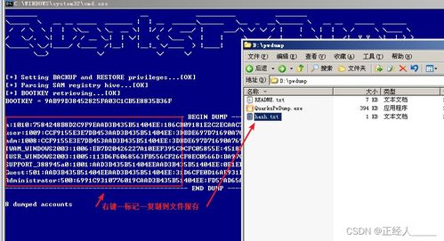 網(wǎng)絡(luò)安全必備 Kali Linux中掃描器與爆破工具的選用與實踐